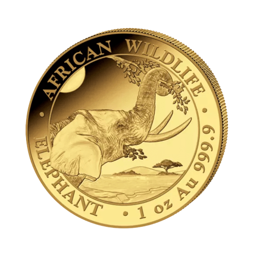 31.1 гр. Златна Монета Сомалийски Слон 2023
